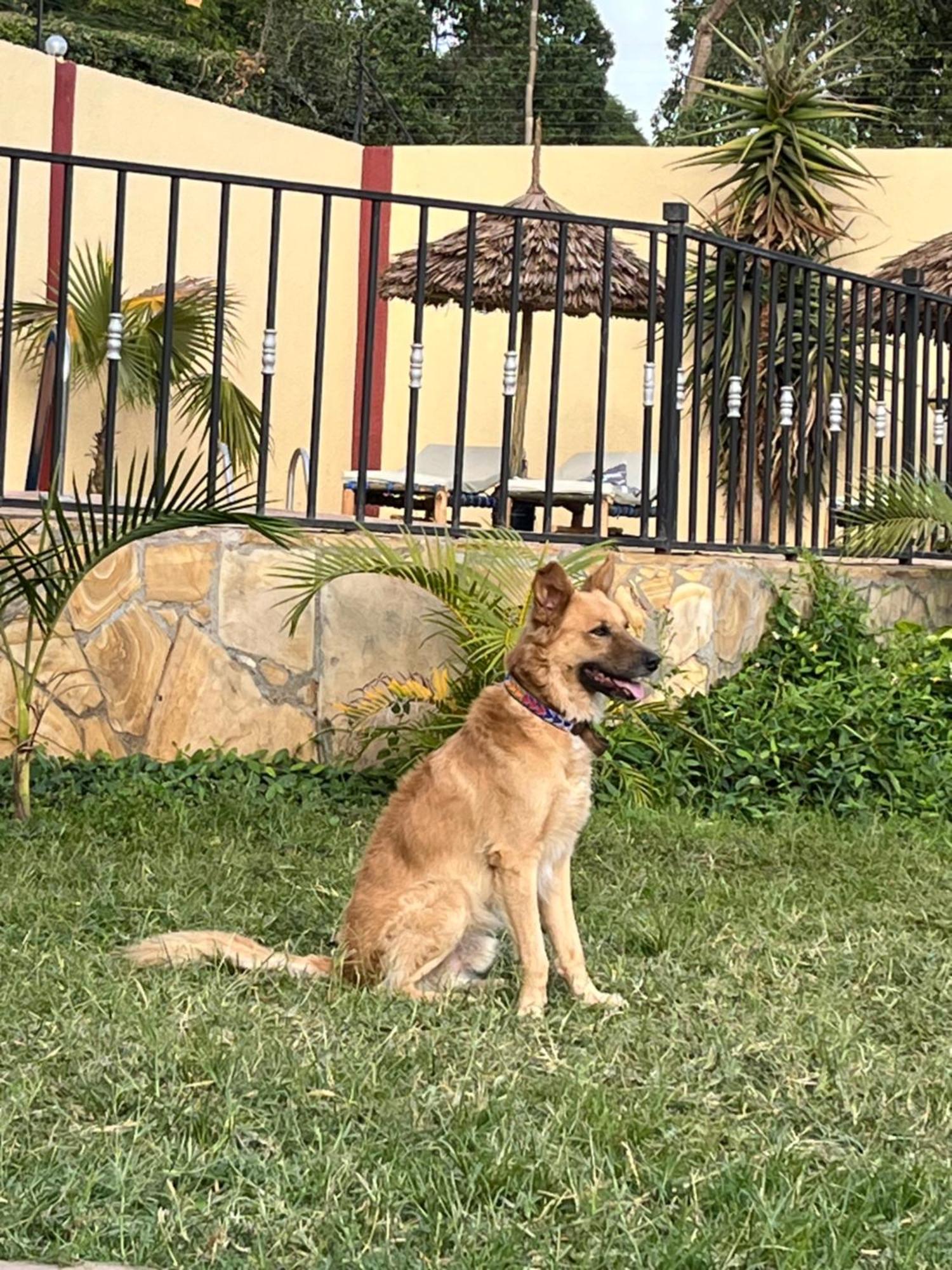 Stasumo House Arusha Bed & Breakfast Dış mekan fotoğraf