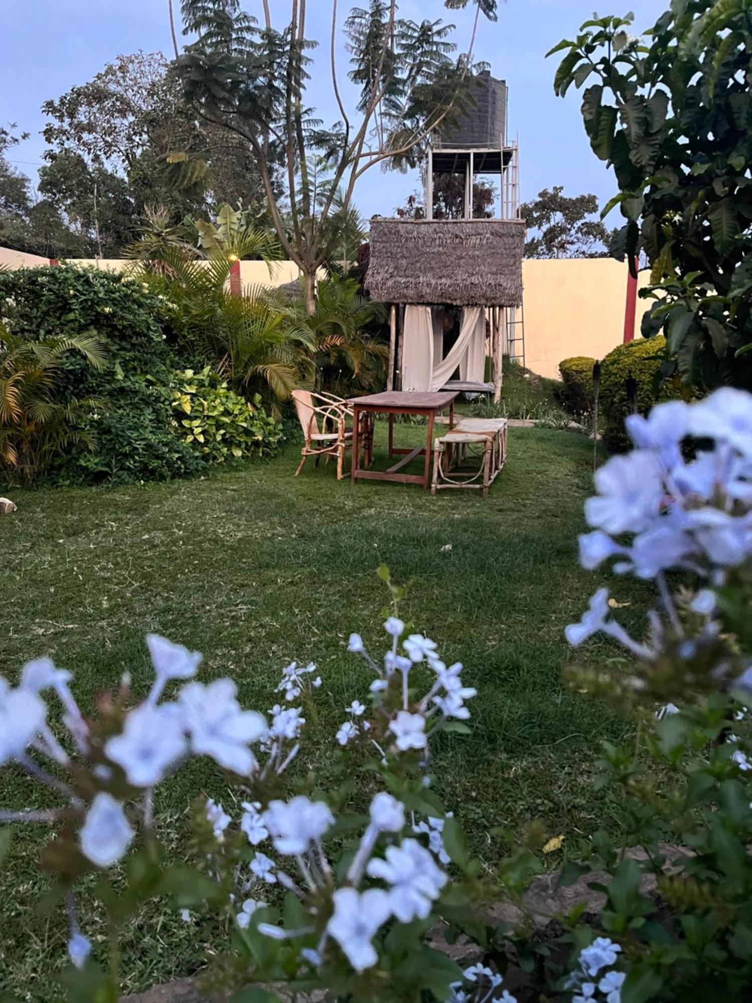 Stasumo House Arusha Bed & Breakfast Dış mekan fotoğraf