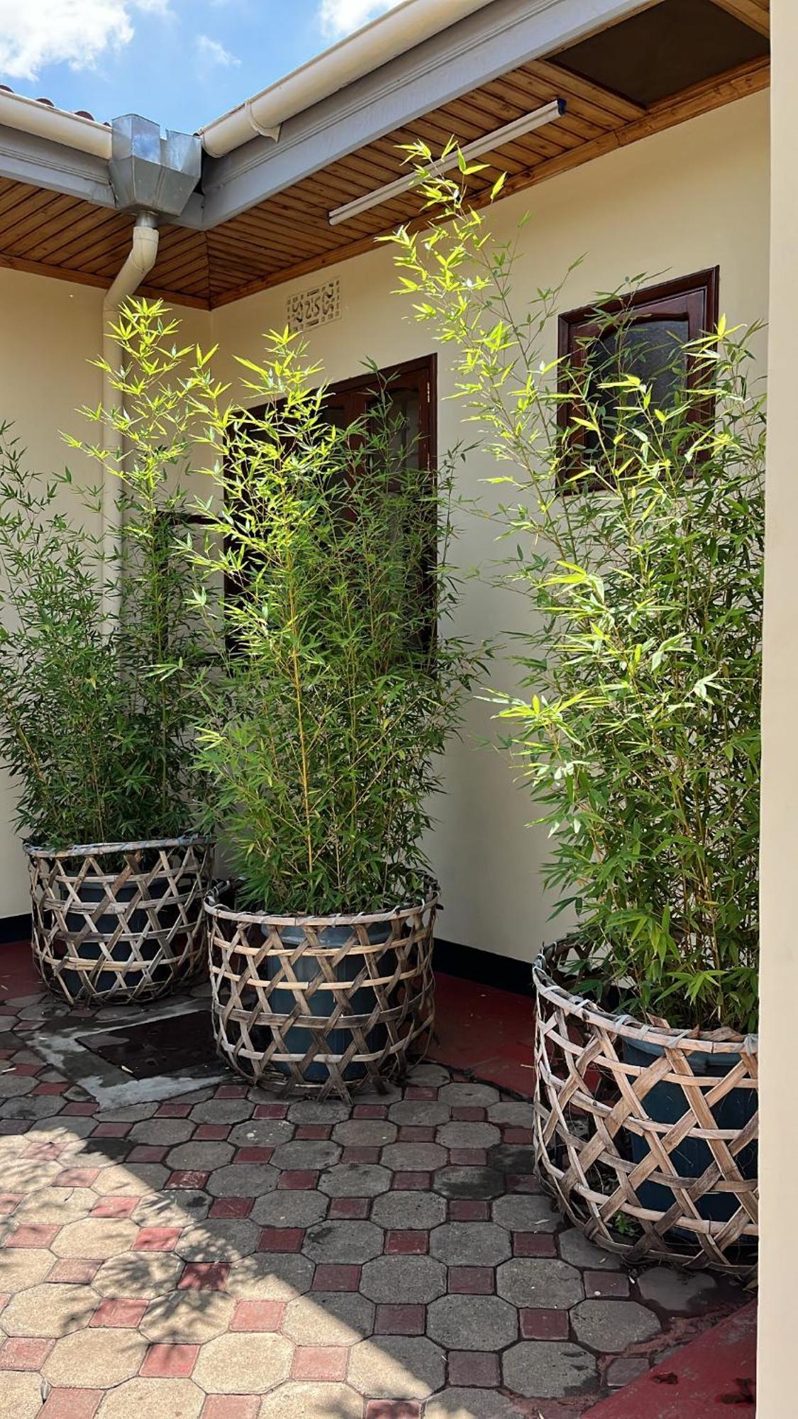 Stasumo House Arusha Bed & Breakfast Dış mekan fotoğraf